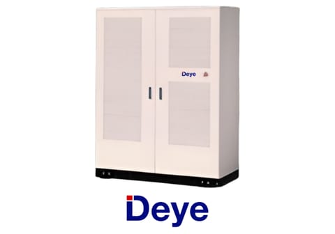 DEYE Moduł PCS WS-PCS1125-2-A